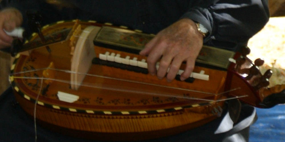 Cours de vielle et ukulélé