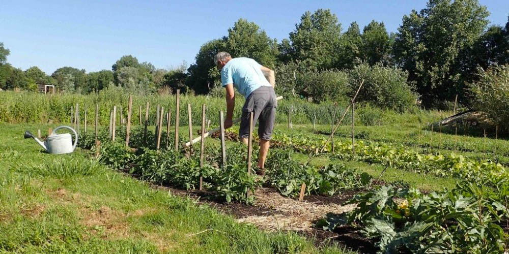 Environnement – jardin partagé