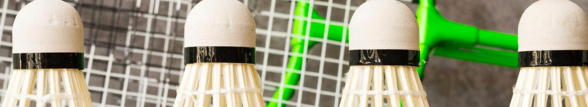 P.G BAD (Badminton)